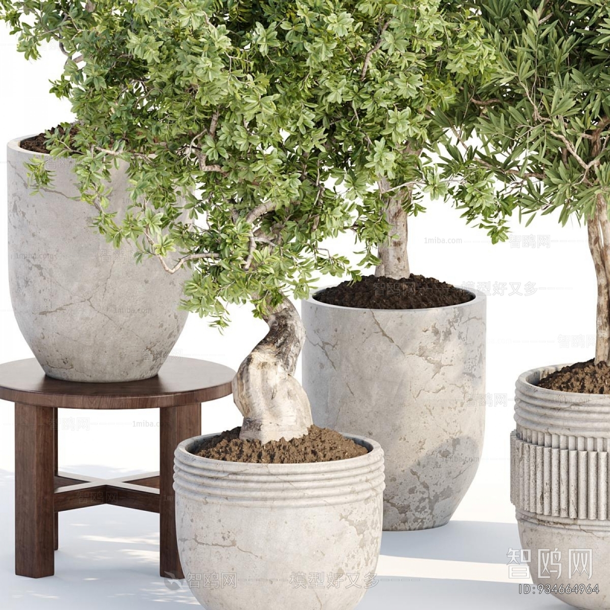 Modern Ground Green Plant Potted Plants