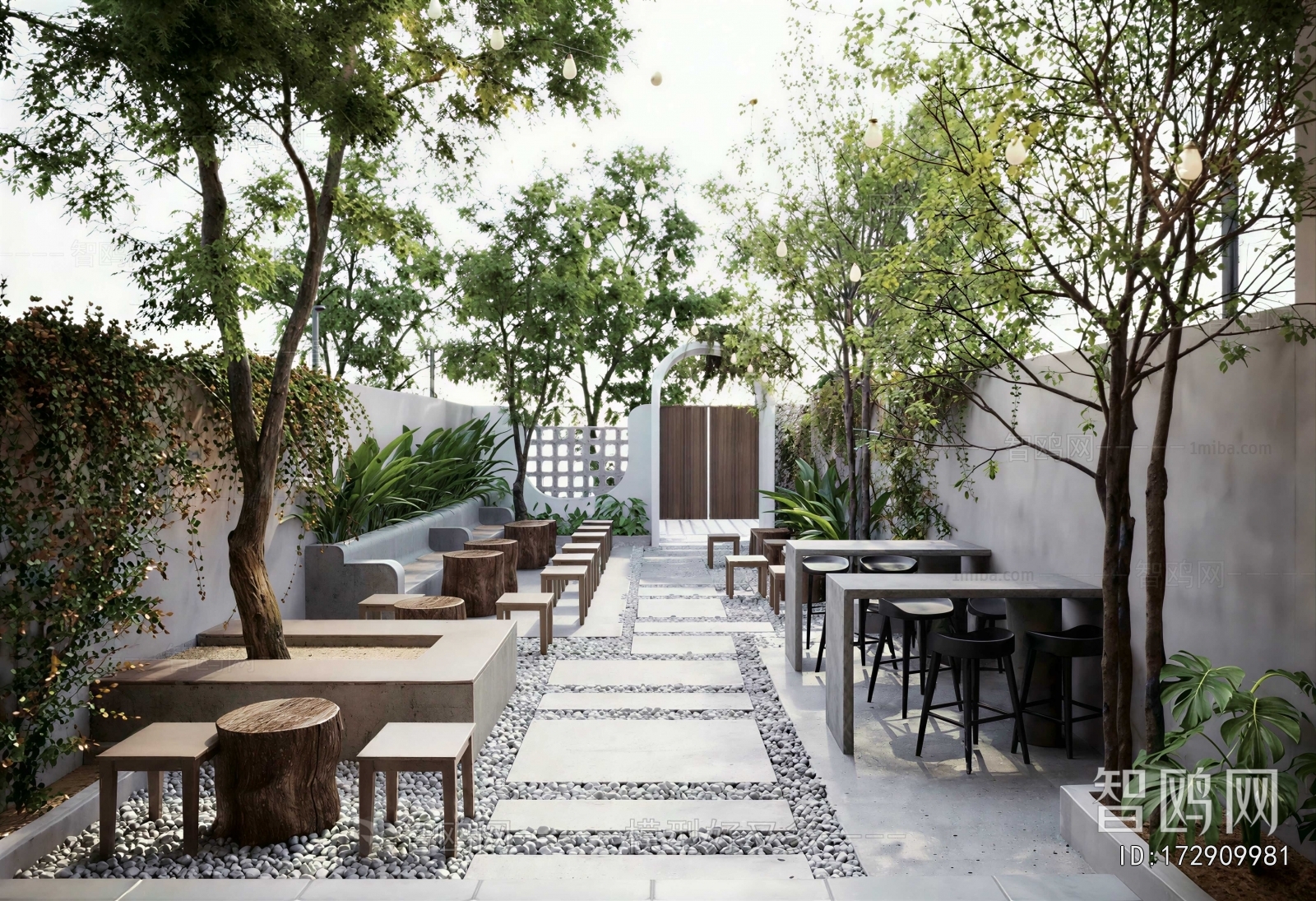 Modern Courtyard/landscape