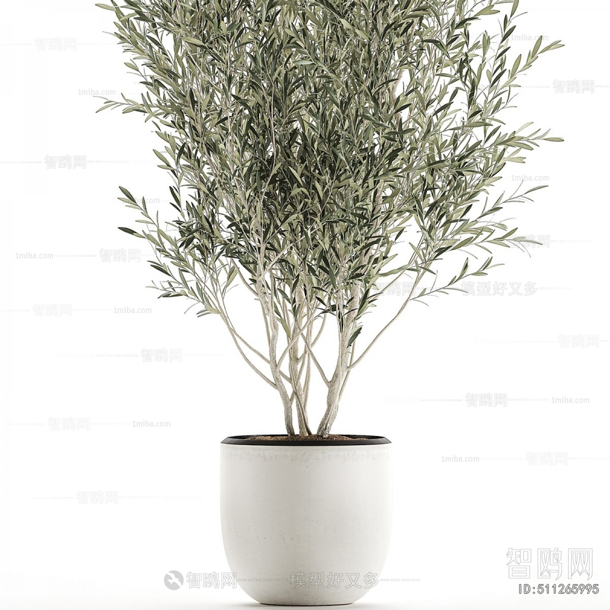 Modern Ground Green Plant Potted Plants