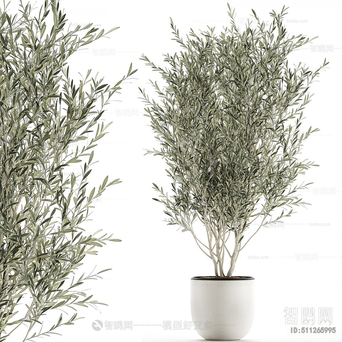 Modern Ground Green Plant Potted Plants