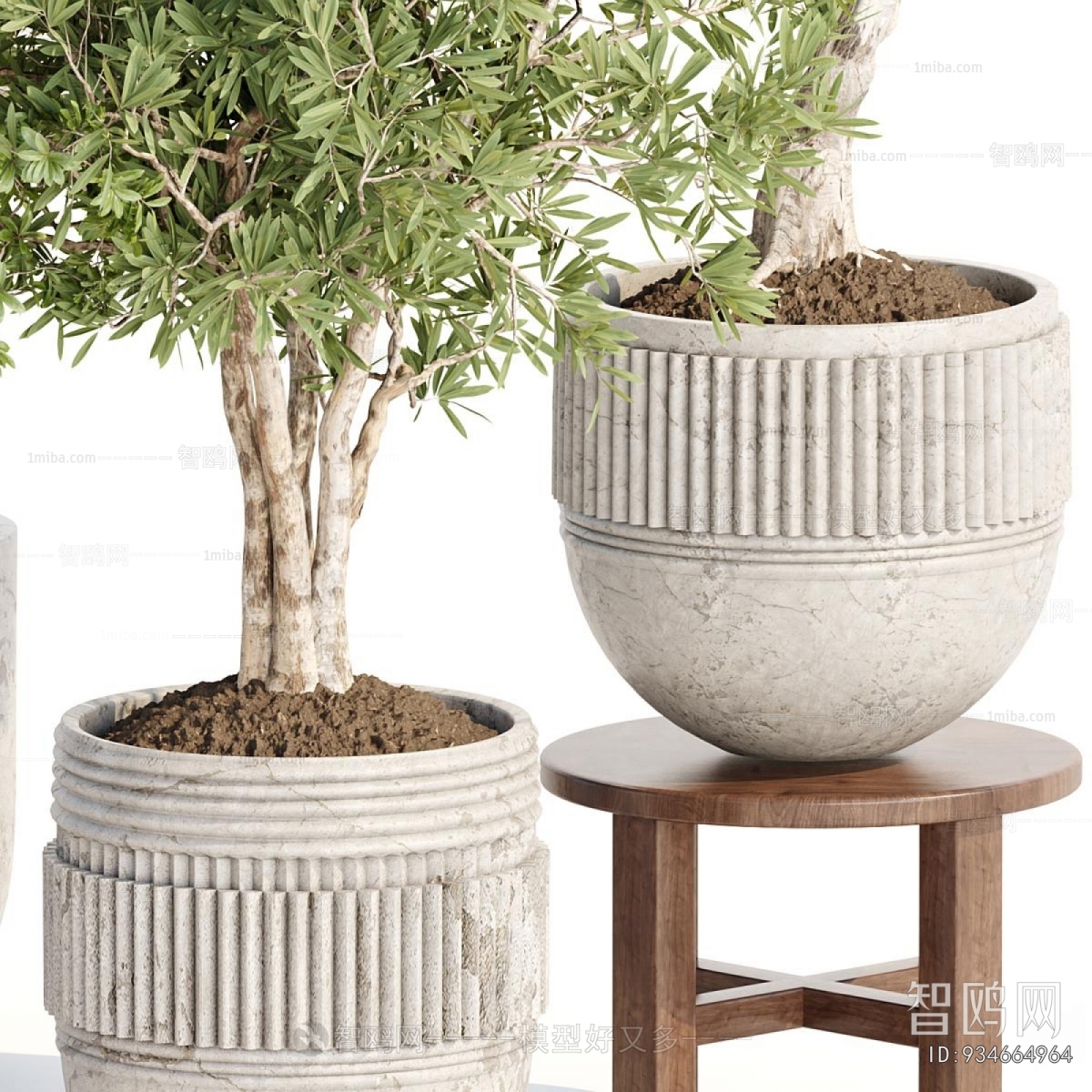Modern Ground Green Plant Potted Plants