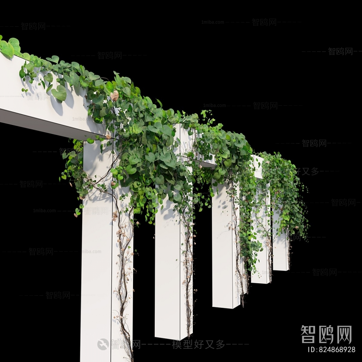 Modern Vine