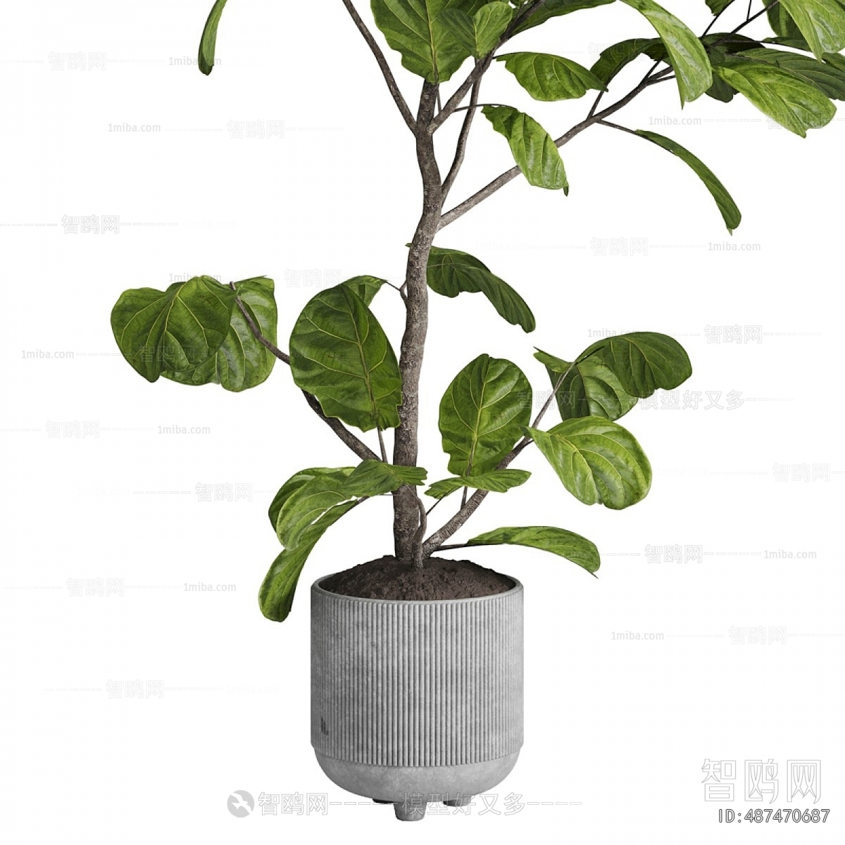 Modern Ground Green Plant Potted Plants