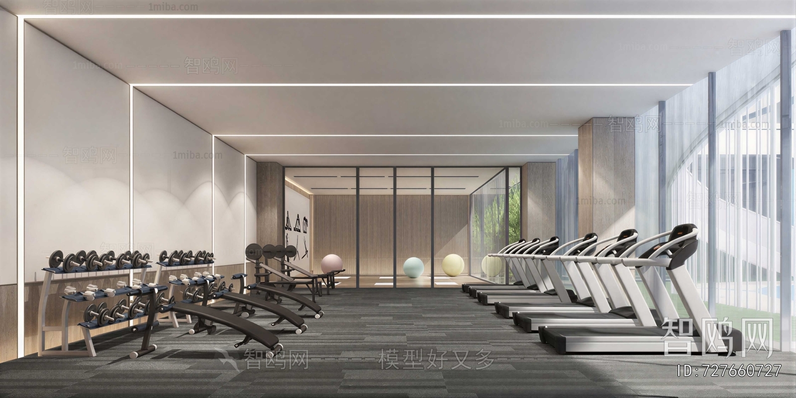 Modern Gym