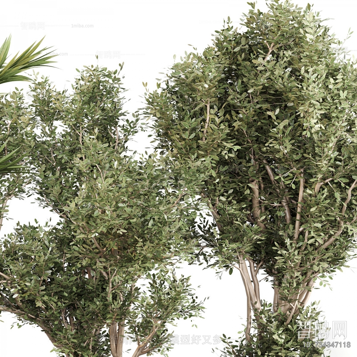 Modern Ground Green Plant Potted Plants