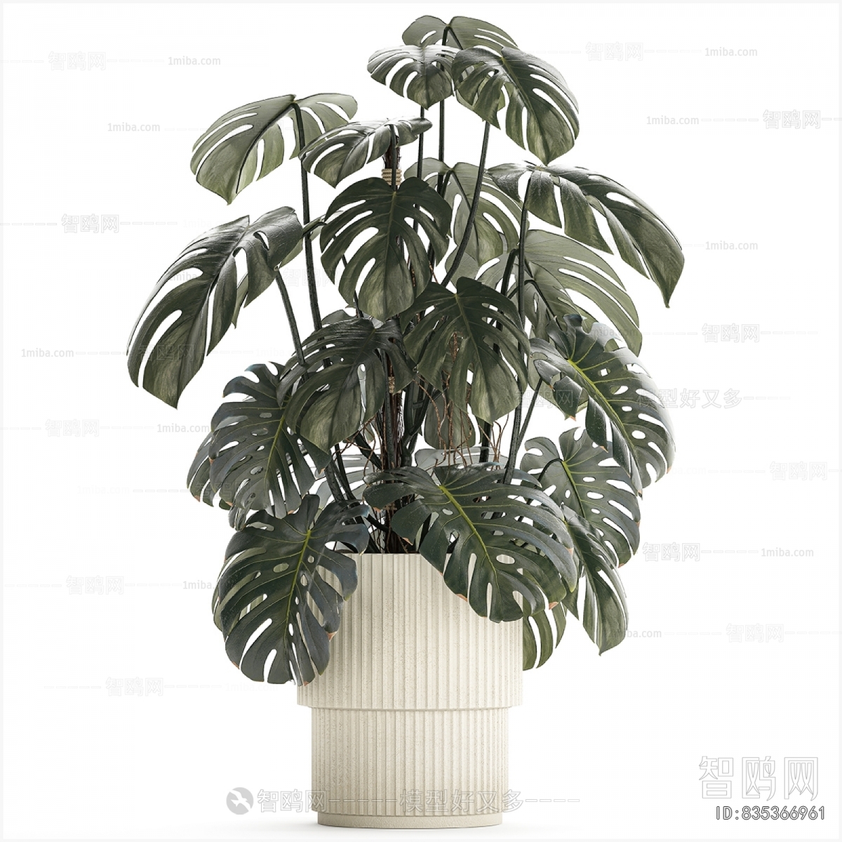 Modern Ground Green Plant Potted Plants