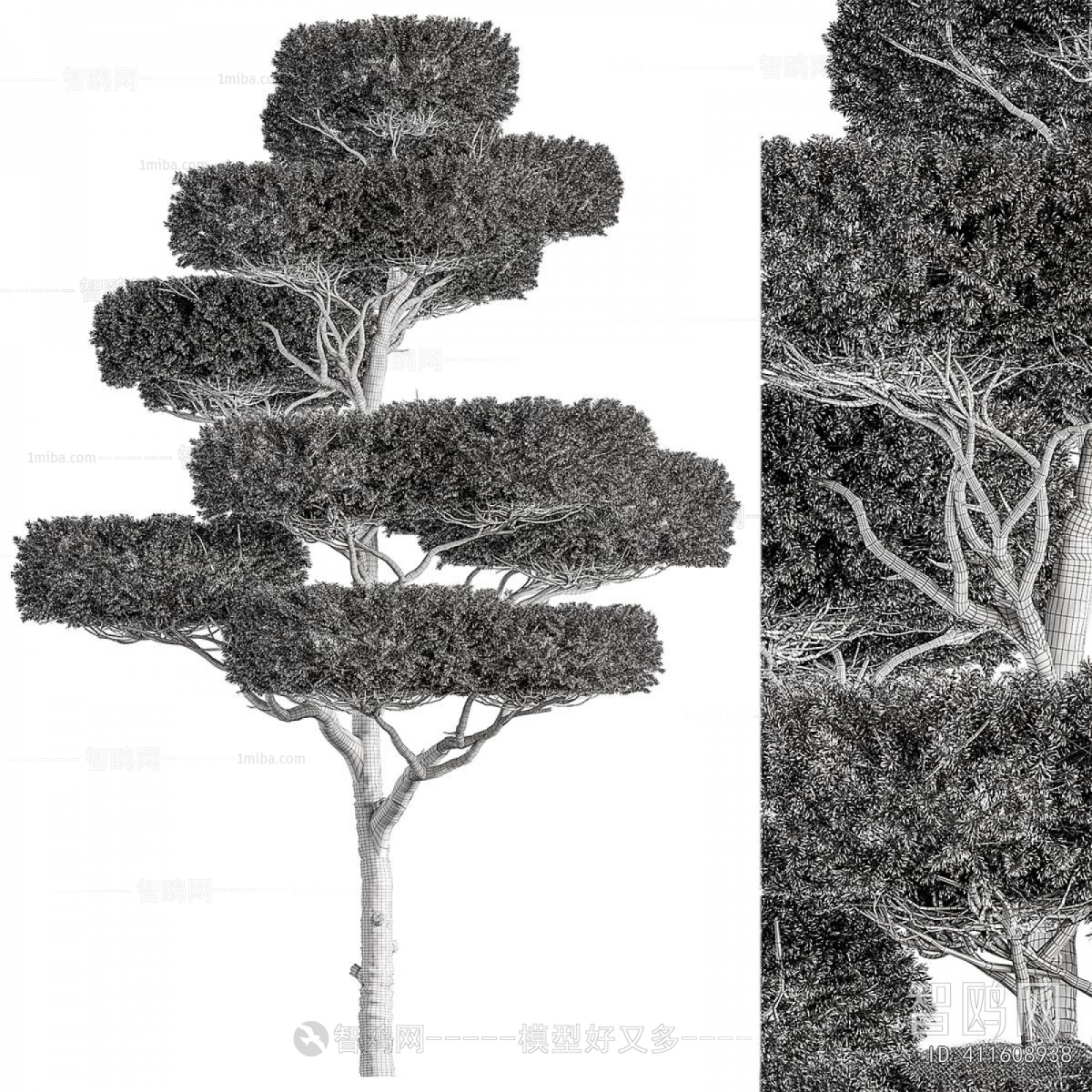 Modern Tree