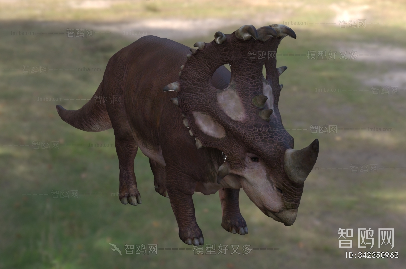 Modern Other Animals