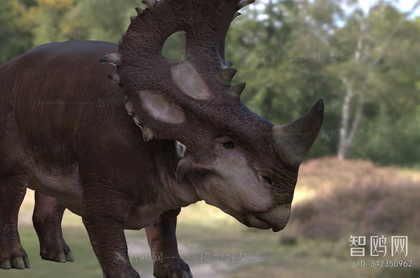 Modern Other Animals
