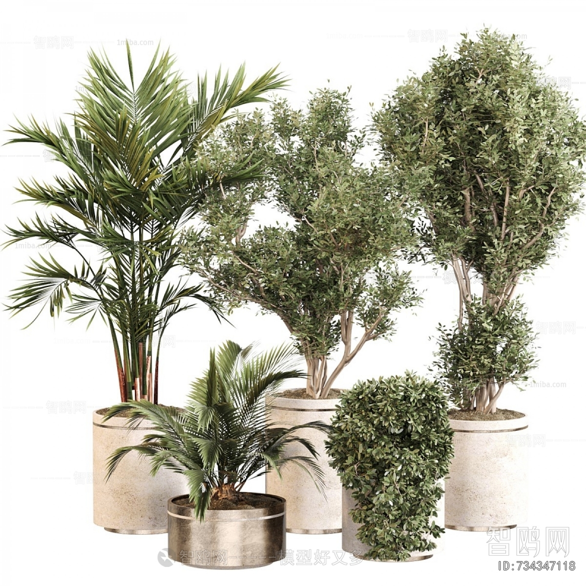 Modern Ground Green Plant Potted Plants