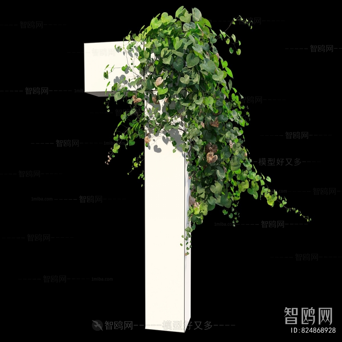 Modern Vine