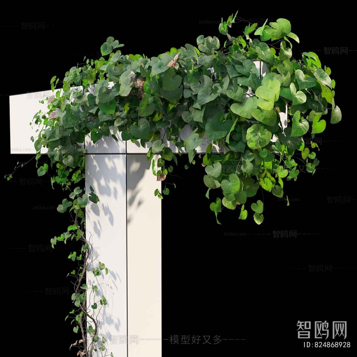 Modern Vine