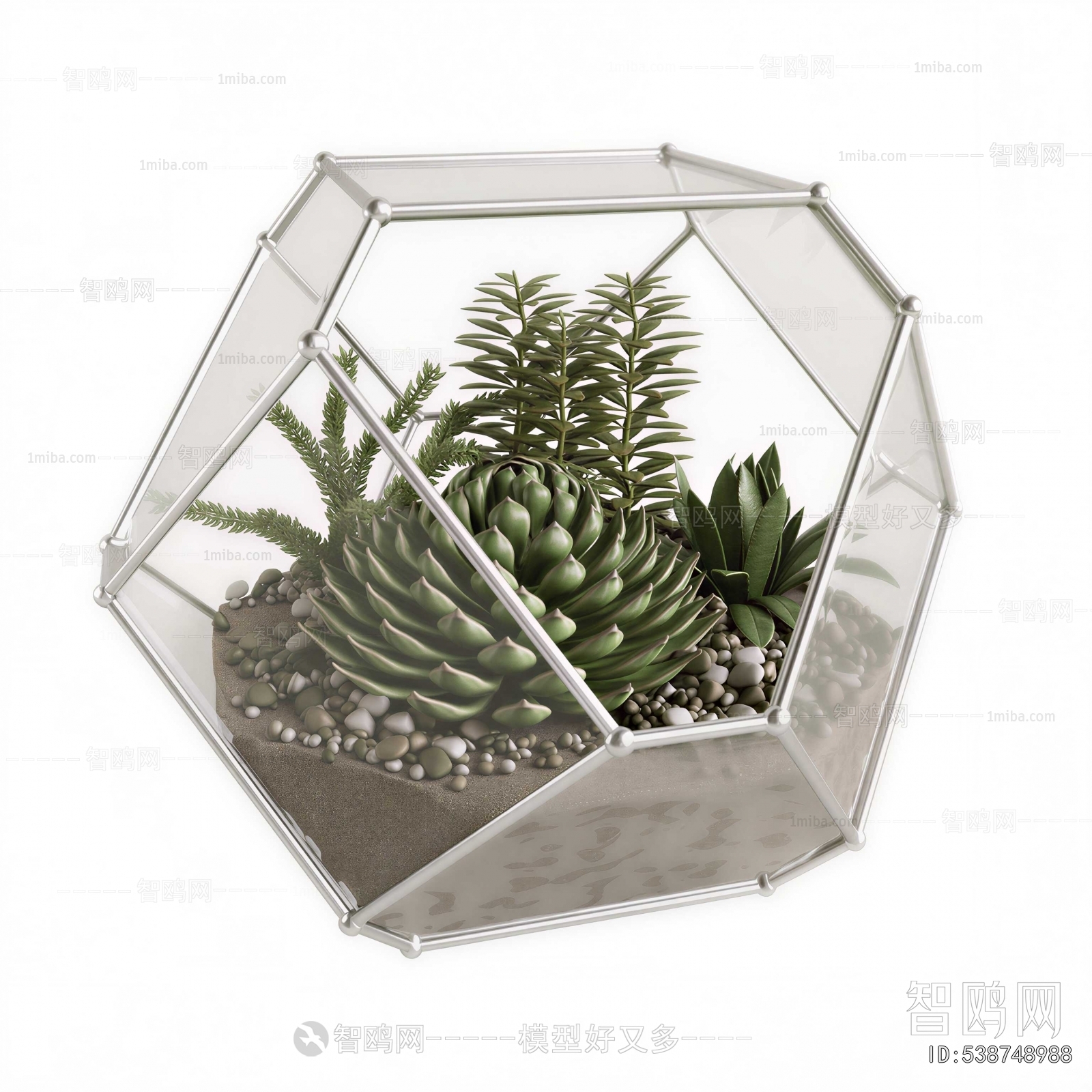 Modern Potted Green Plant