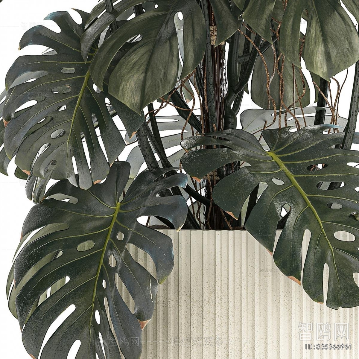 Modern Ground Green Plant Potted Plants