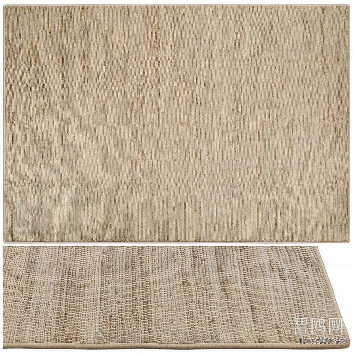 Modern The Carpet