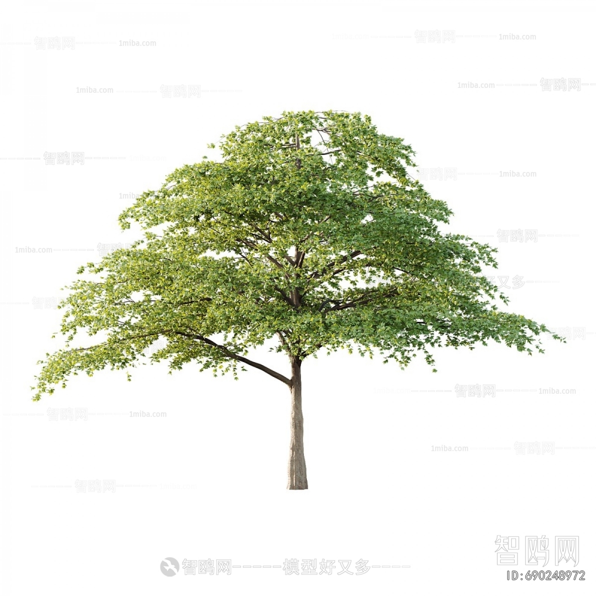 Modern Tree