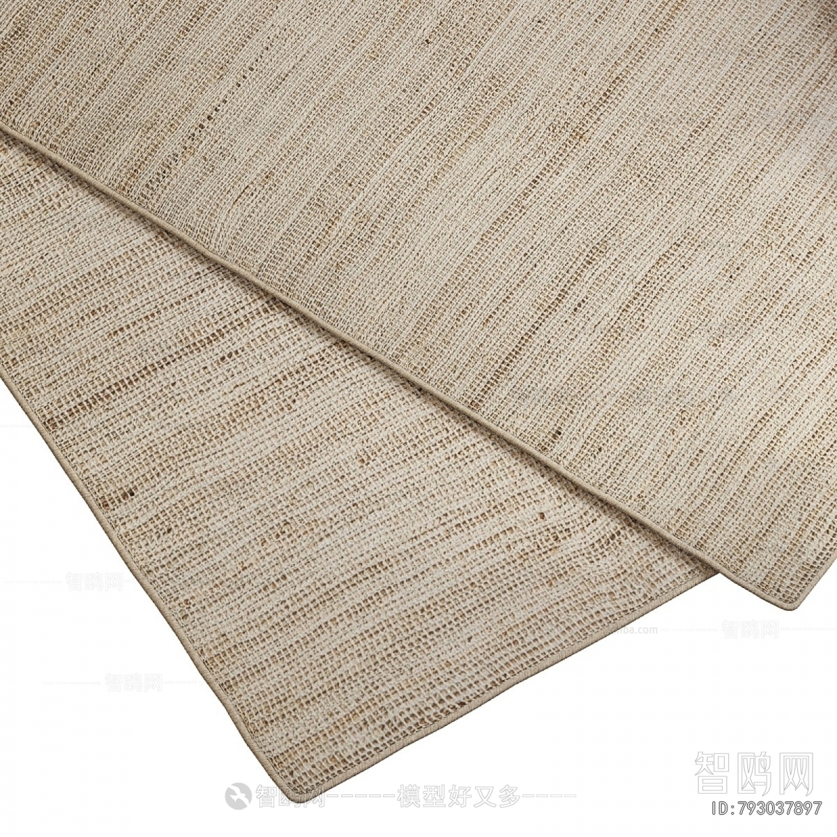 Modern The Carpet