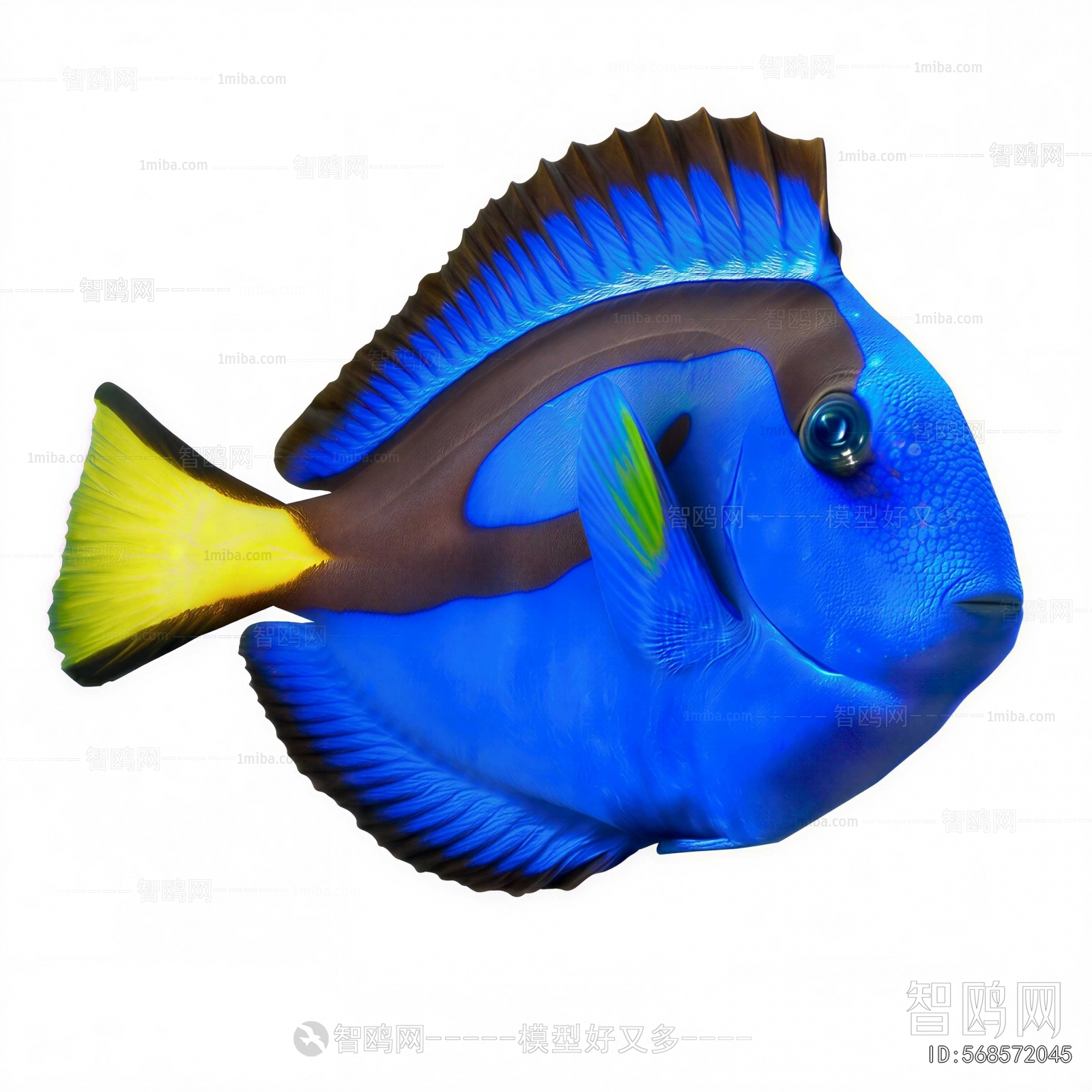 Modern Aquatic Animals