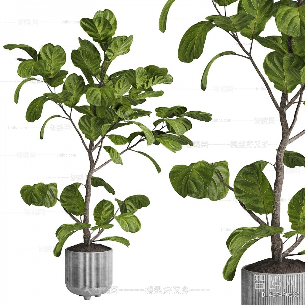 Modern Ground Green Plant Potted Plants