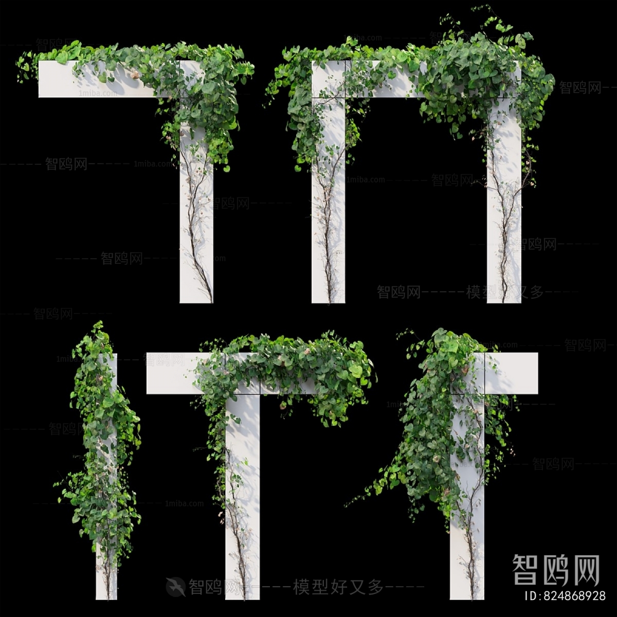 Modern Vine