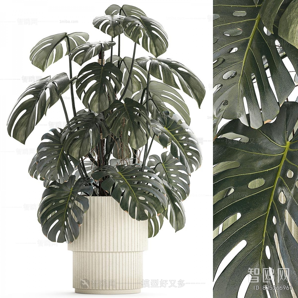 Modern Ground Green Plant Potted Plants
