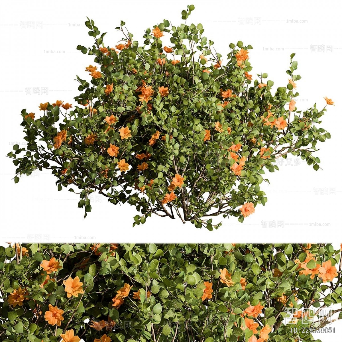 Modern Shrubbery