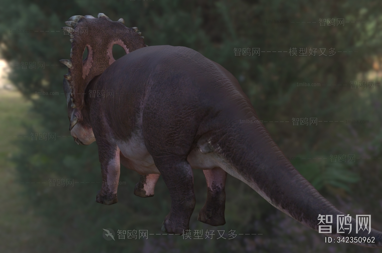Modern Other Animals