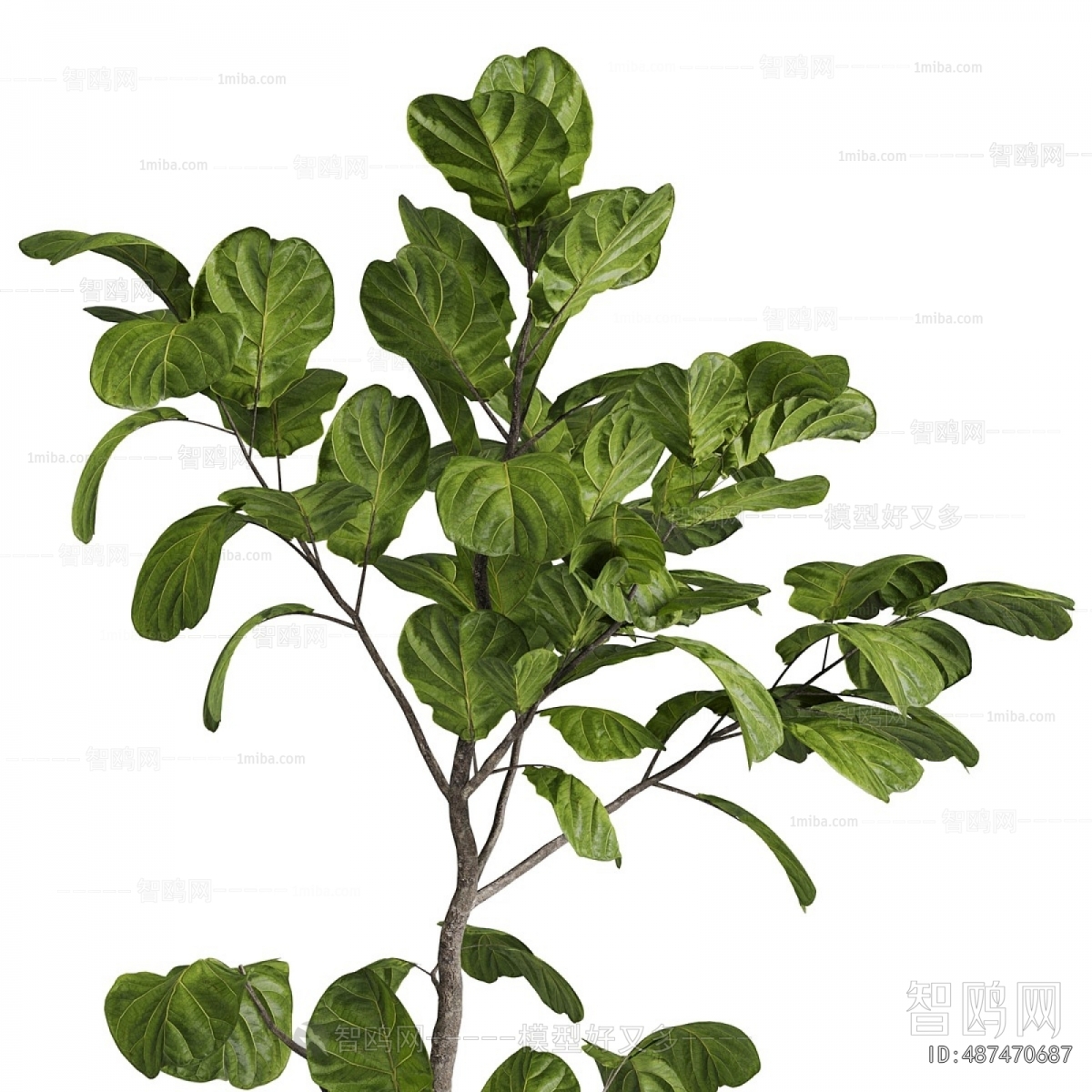 Modern Ground Green Plant Potted Plants