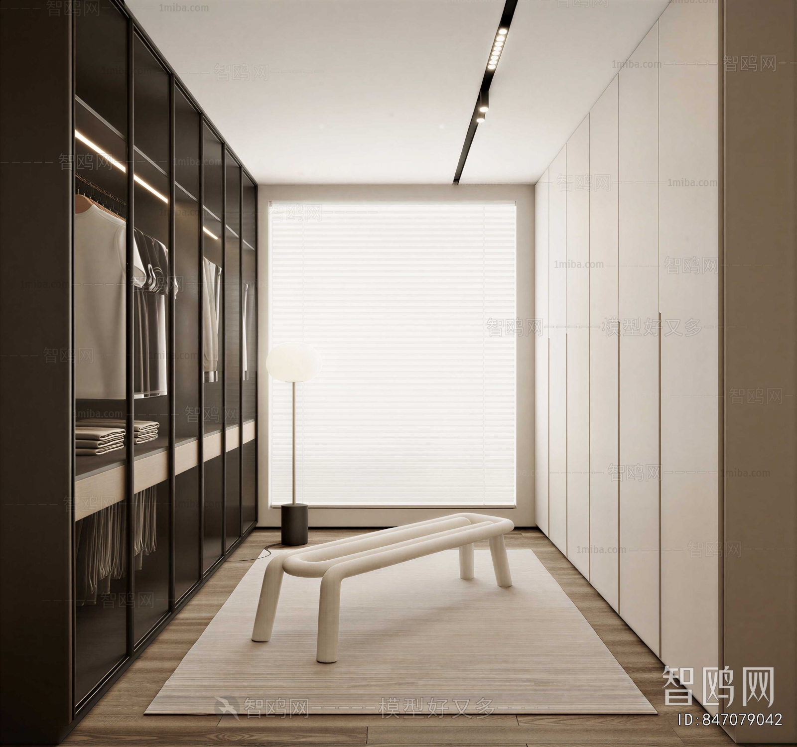 Modern Clothes Storage Area