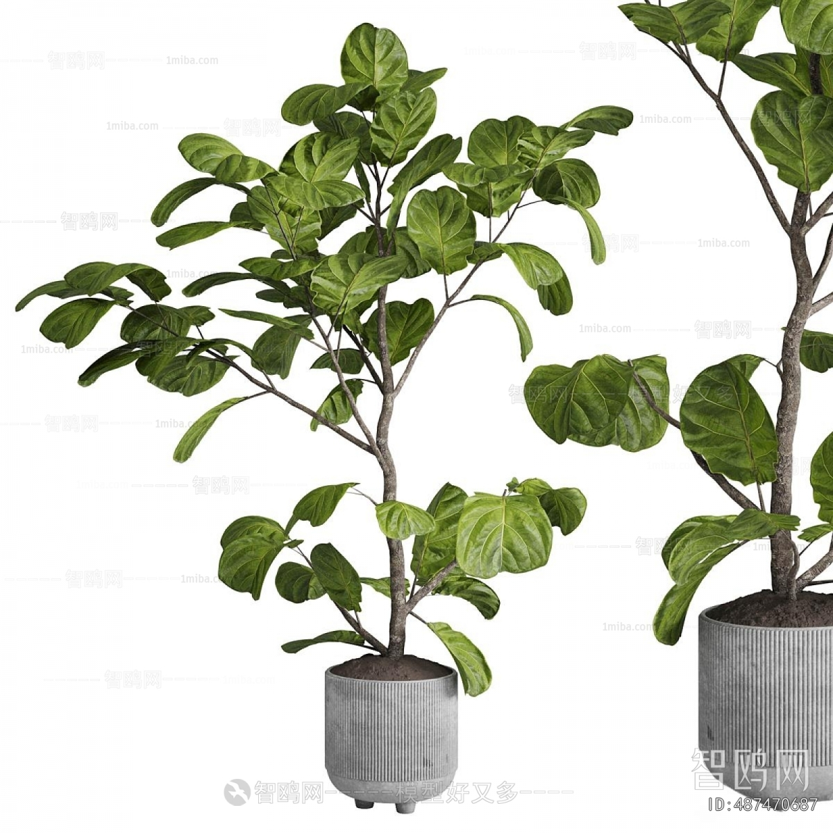 Modern Ground Green Plant Potted Plants