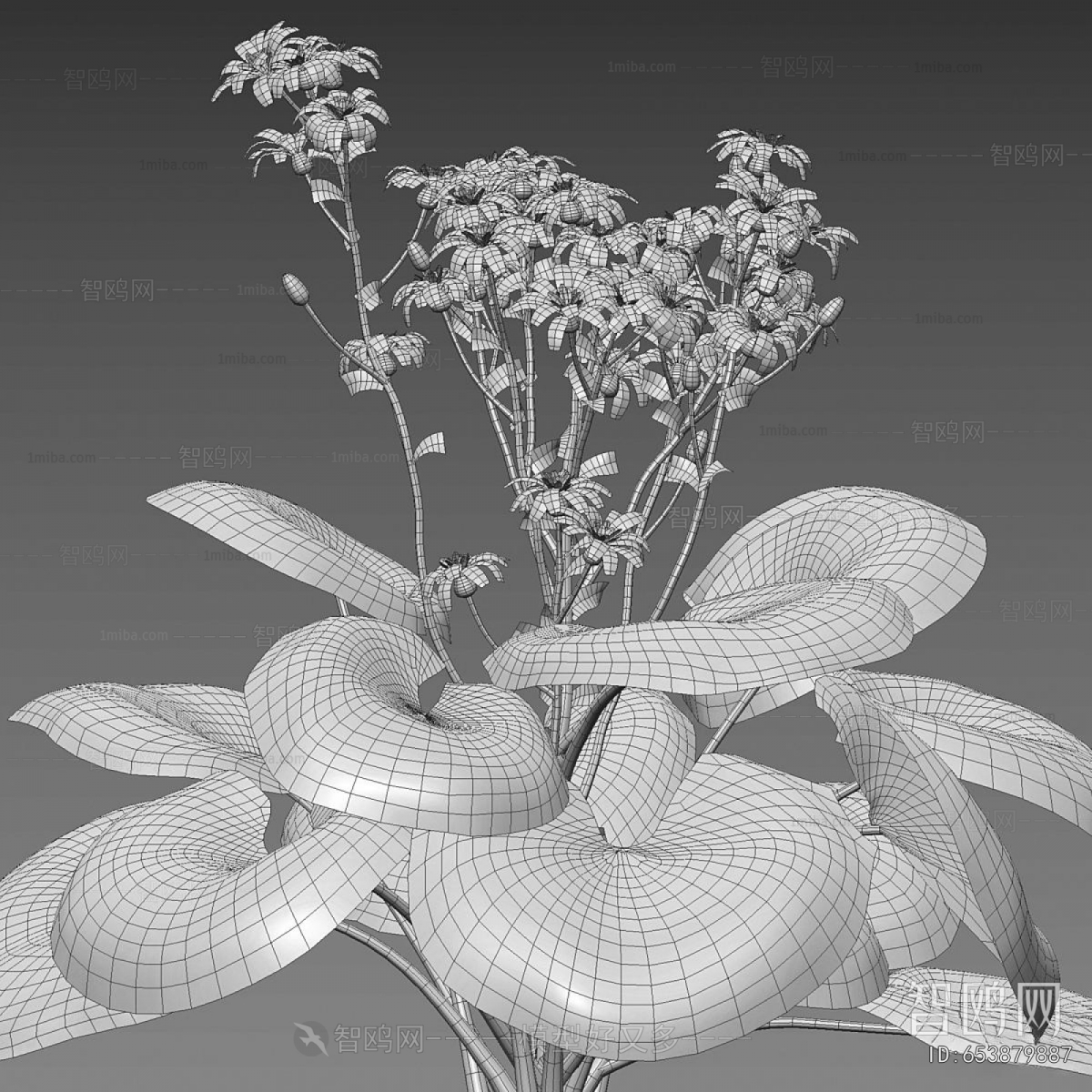 Modern Flowers And Grass