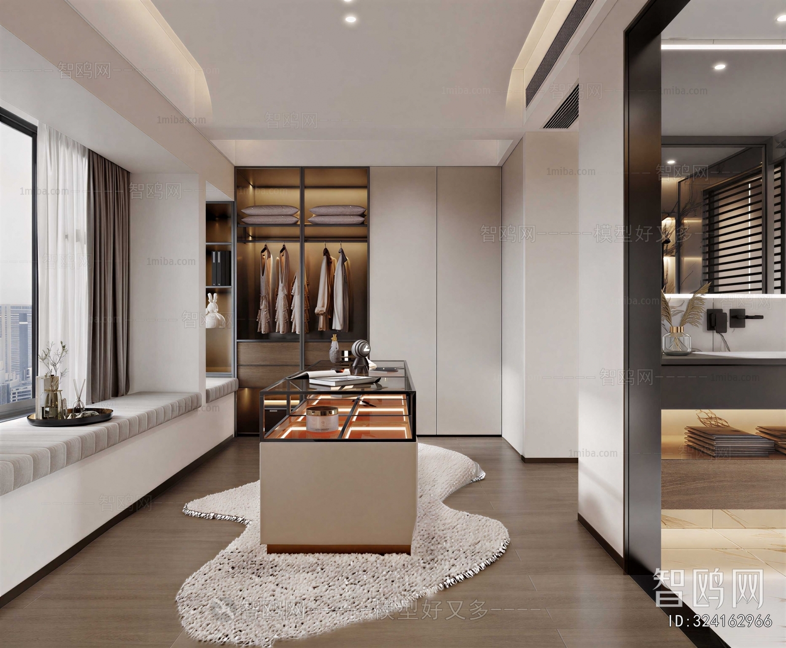 Modern Clothes Storage Area