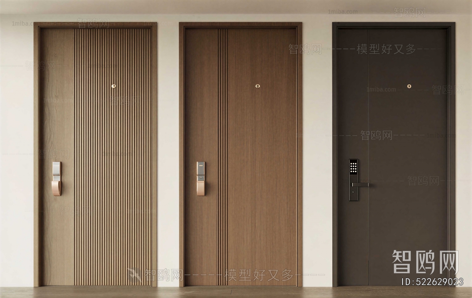 Modern Entrance Door