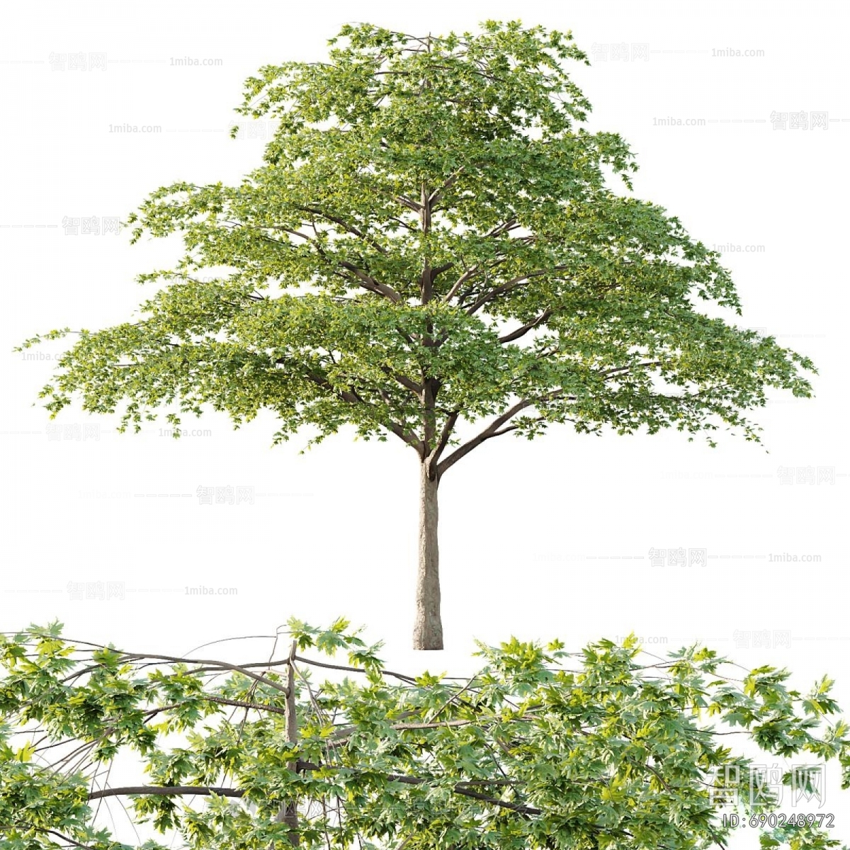 Modern Tree