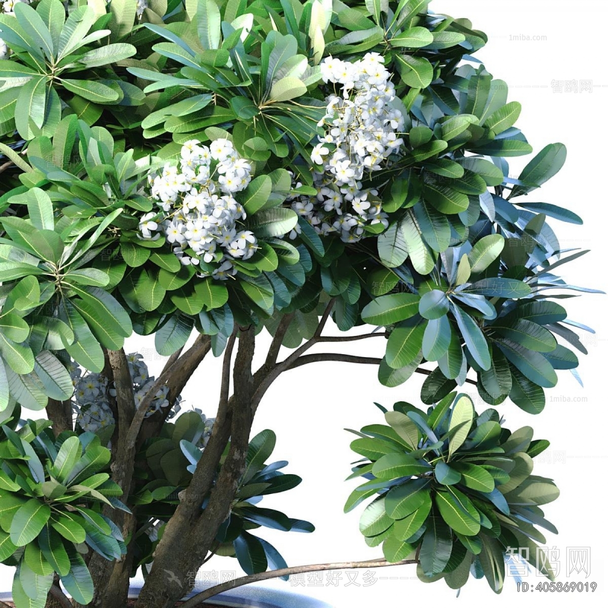 New Chinese Style Ground Green Plant Potted Plants