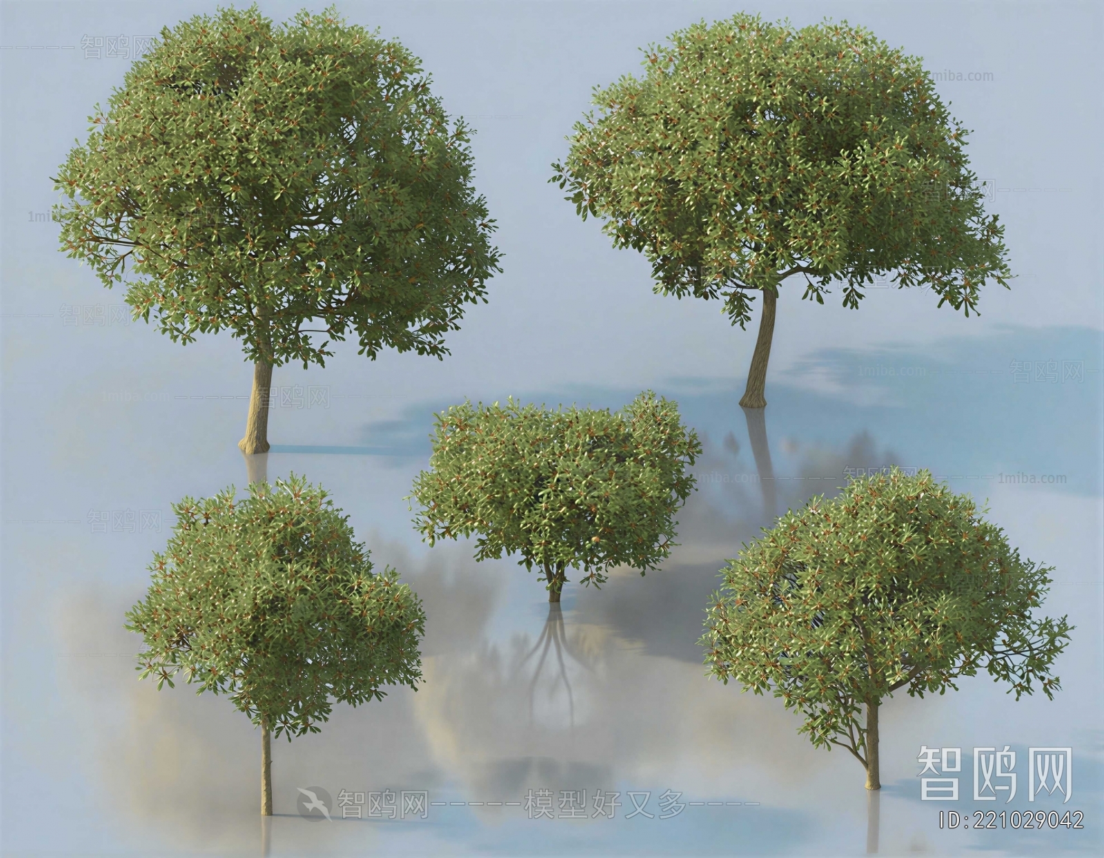 Modern Tree