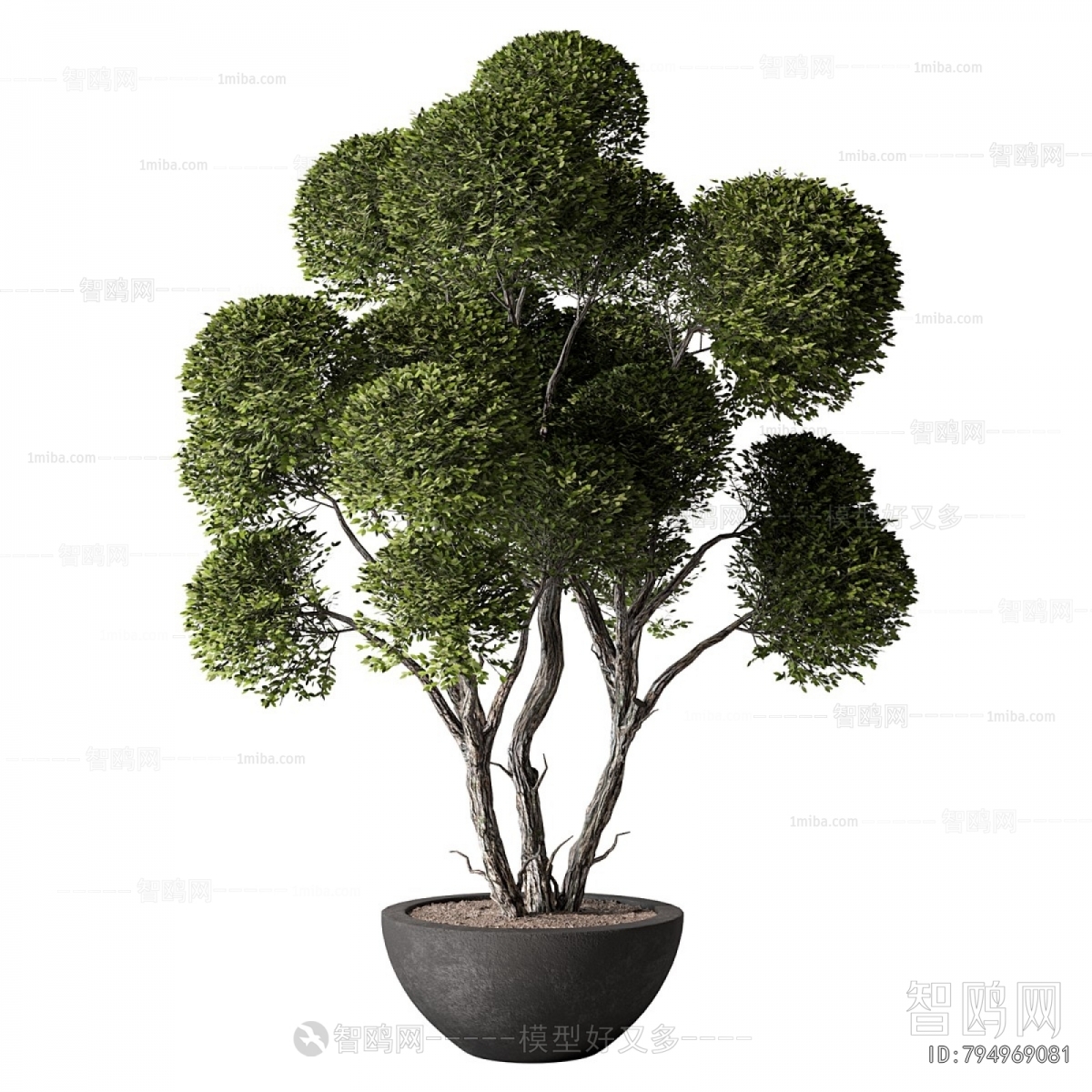 Modern Ground Green Plant Potted Plants