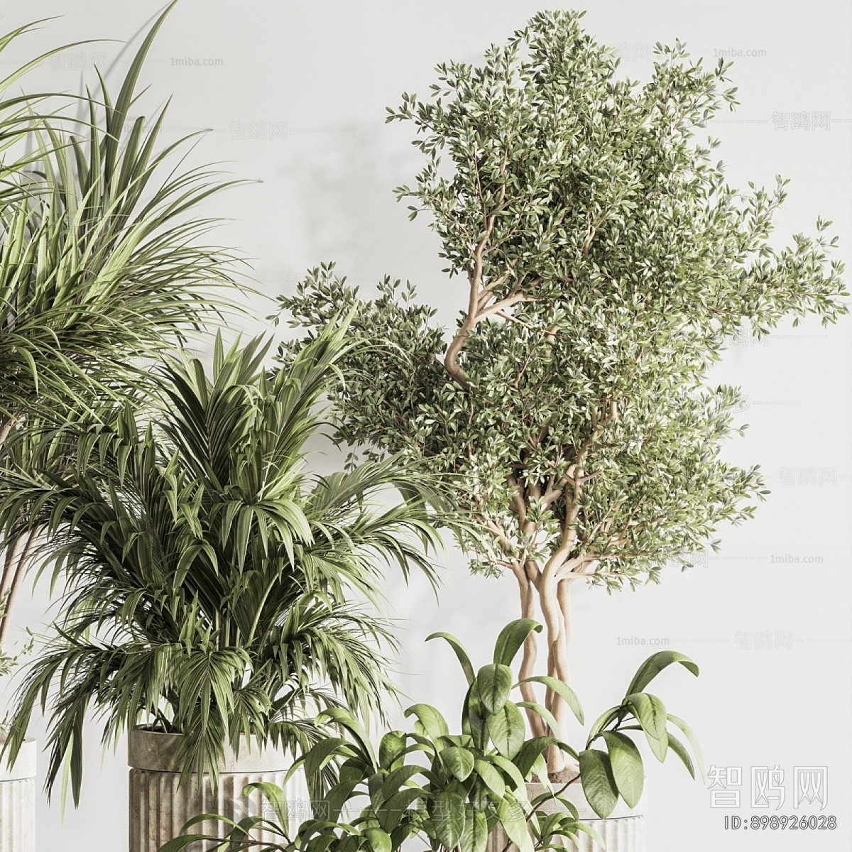Modern Ground Green Plant Potted Plants
