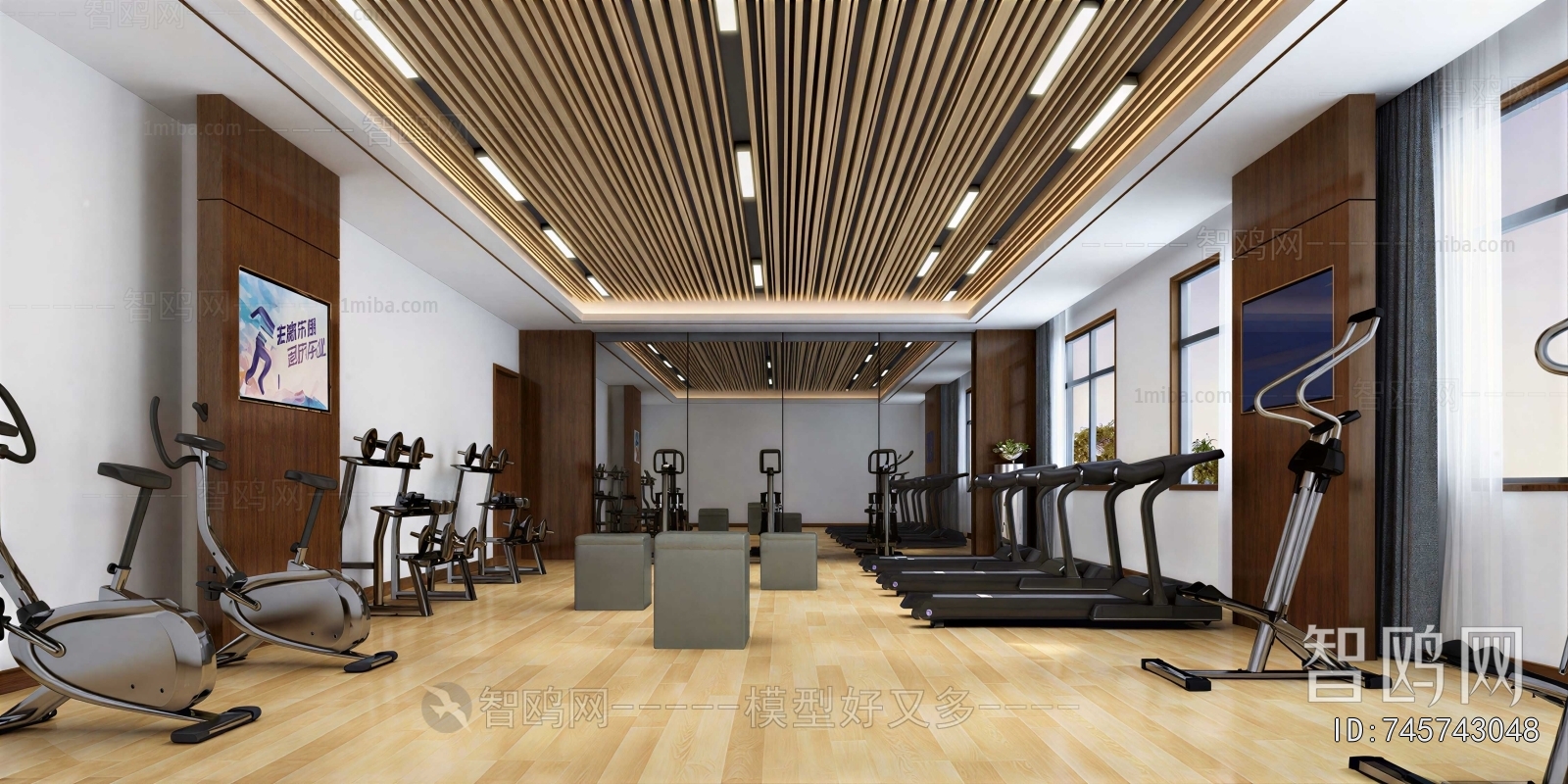 Modern Gym
