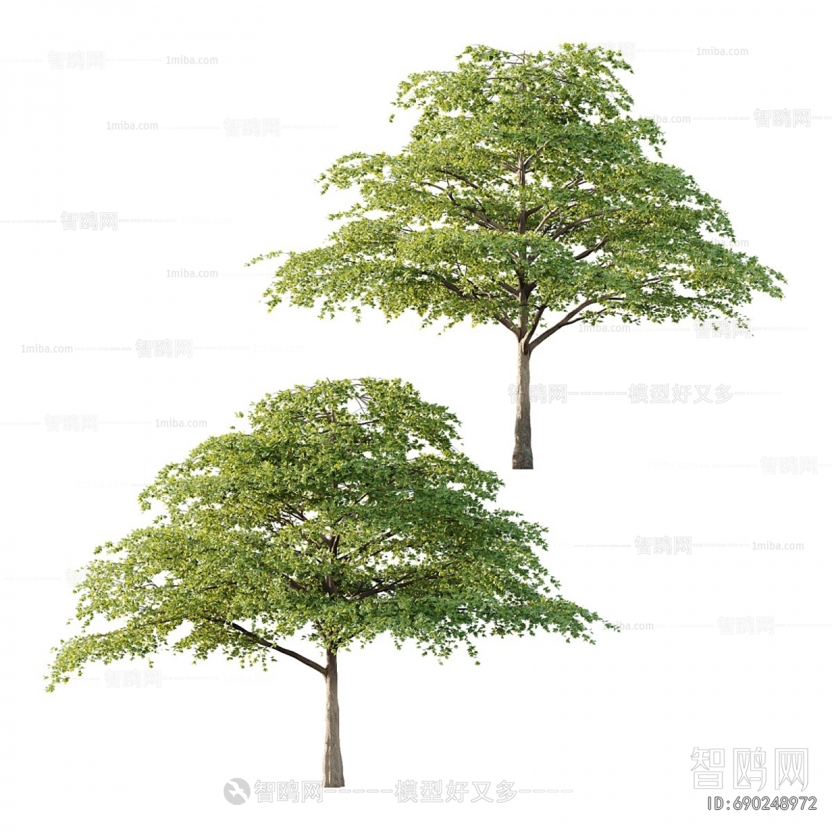 Modern Tree