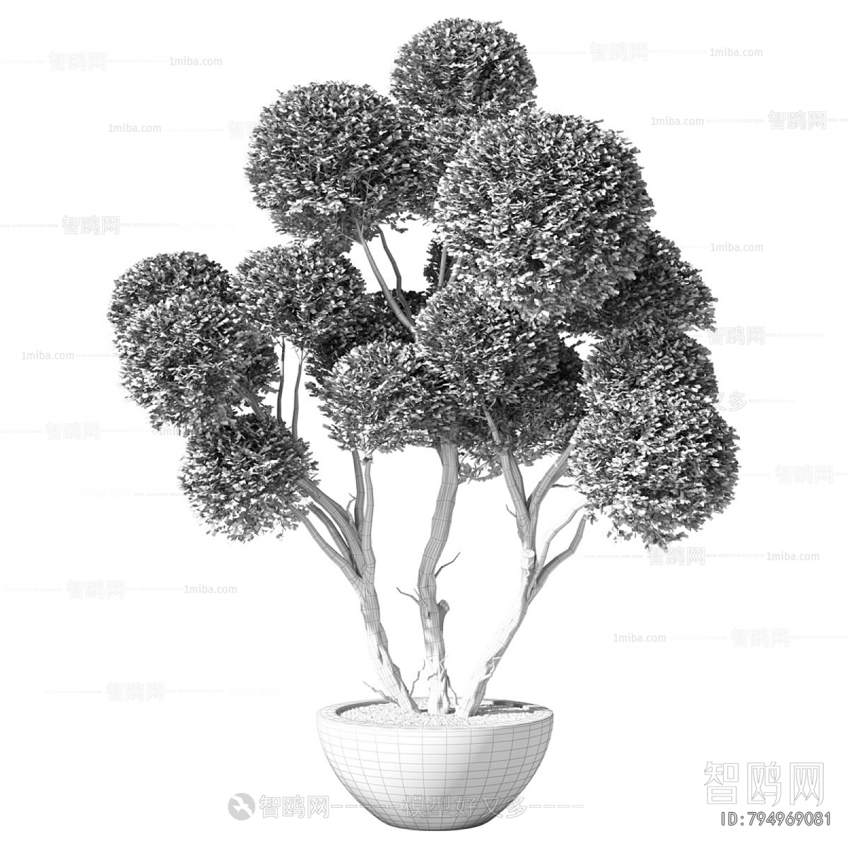 Modern Ground Green Plant Potted Plants