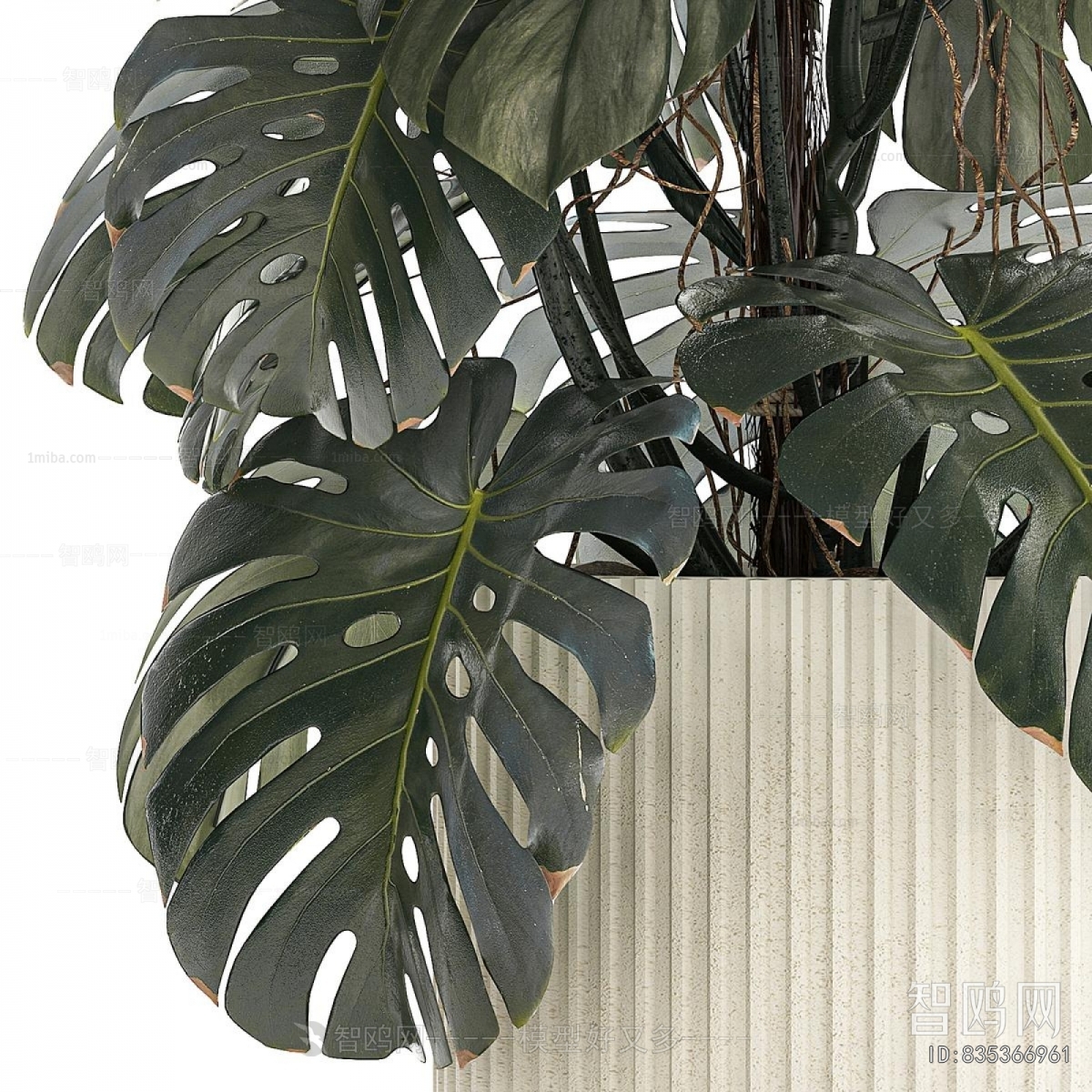 Modern Ground Green Plant Potted Plants