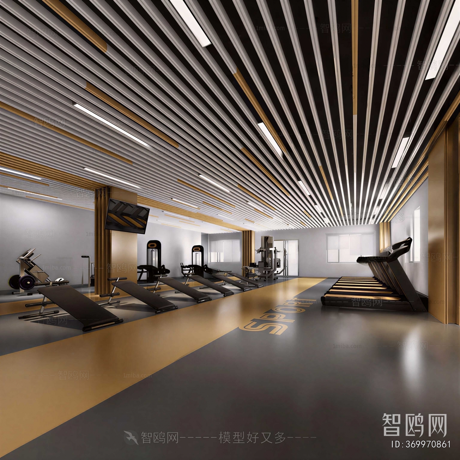Modern Gym