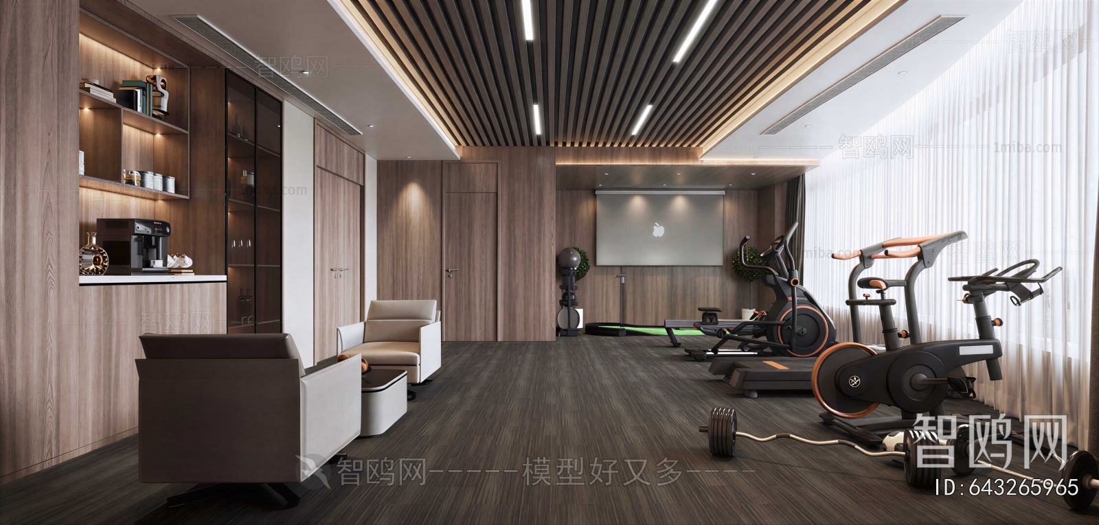 Modern Gym