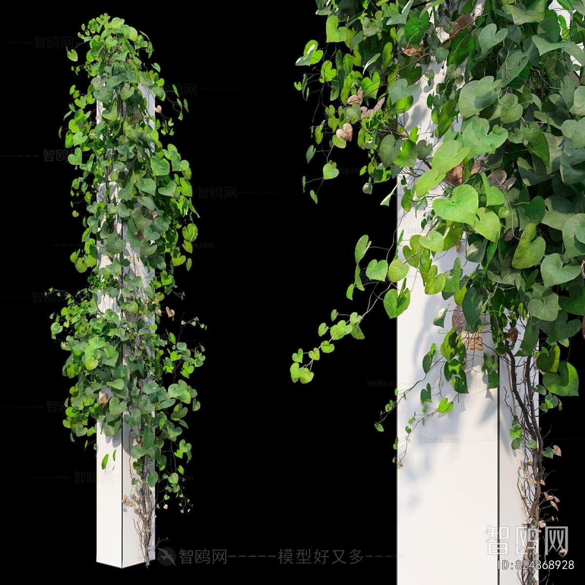 Modern Vine