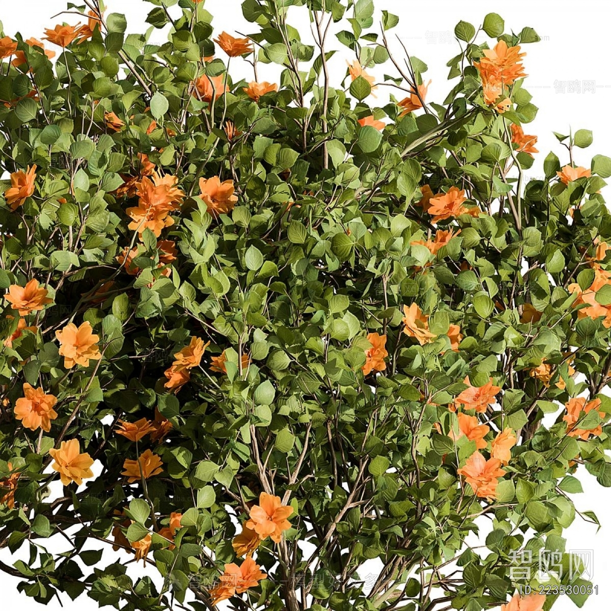 Modern Shrubbery