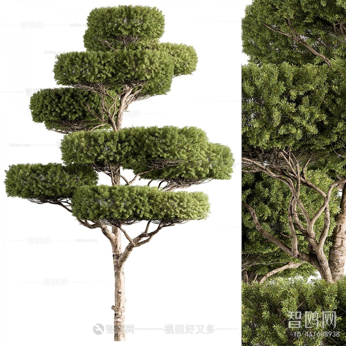 Modern Tree