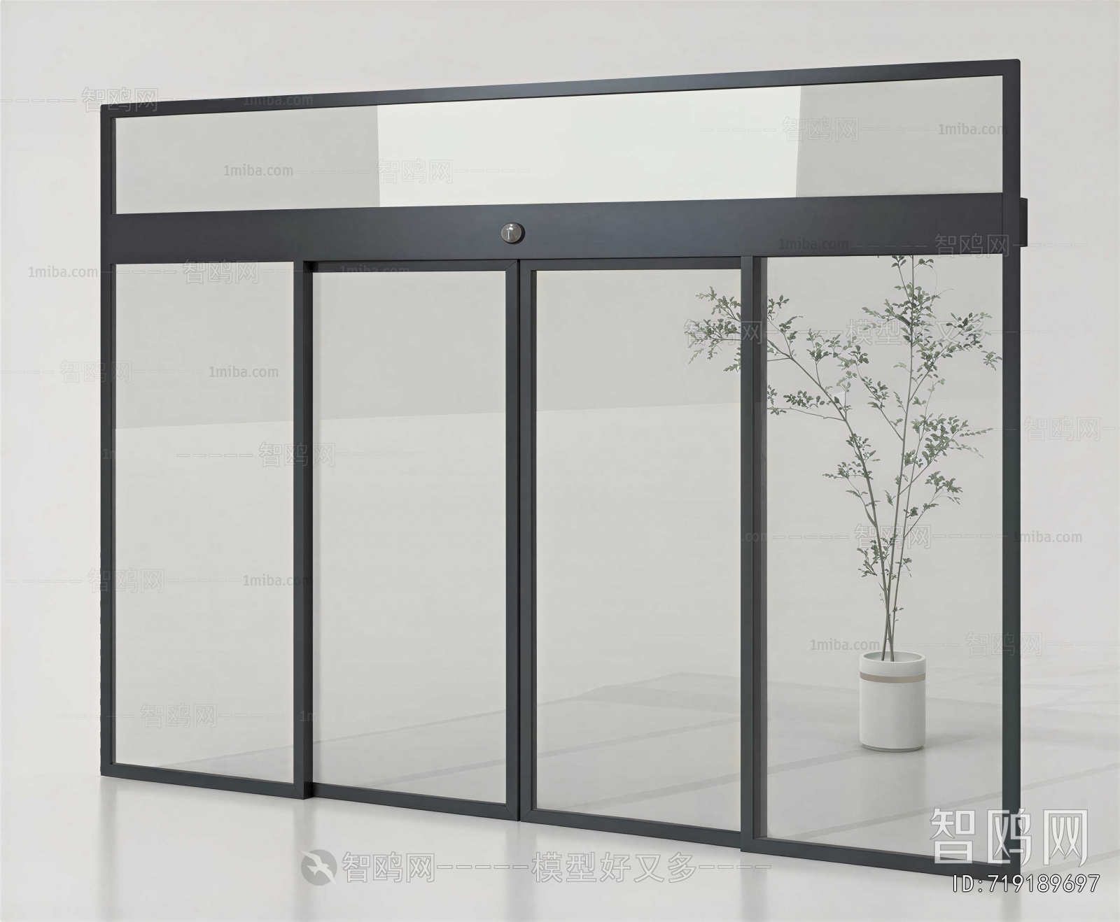 Modern Door