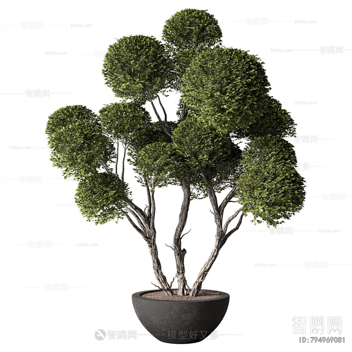 Modern Ground Green Plant Potted Plants