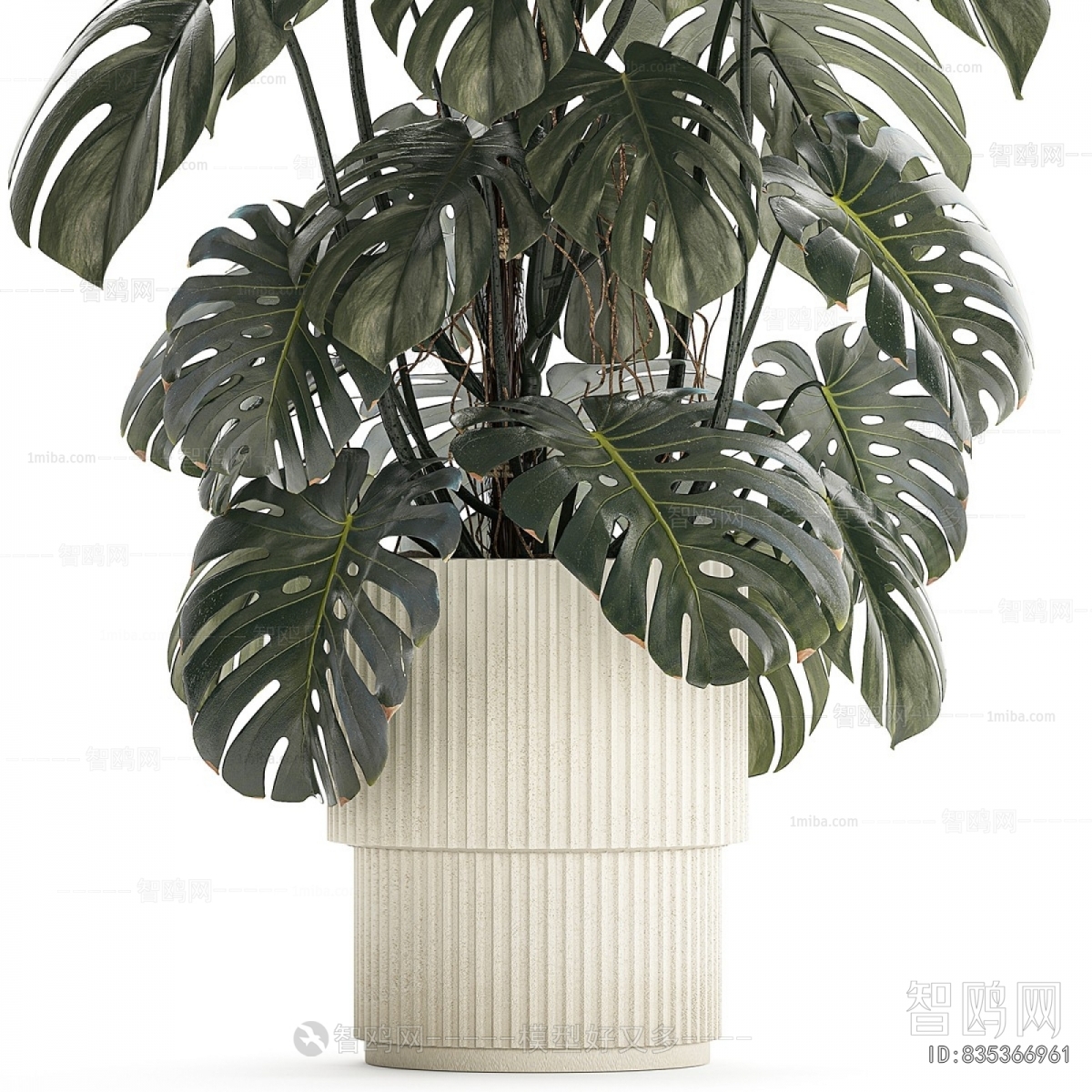 Modern Ground Green Plant Potted Plants